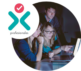 Profesionales_web
