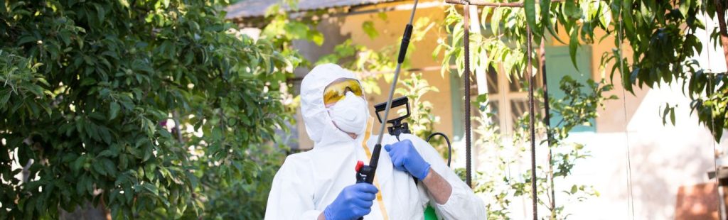 persona fumigando árboles